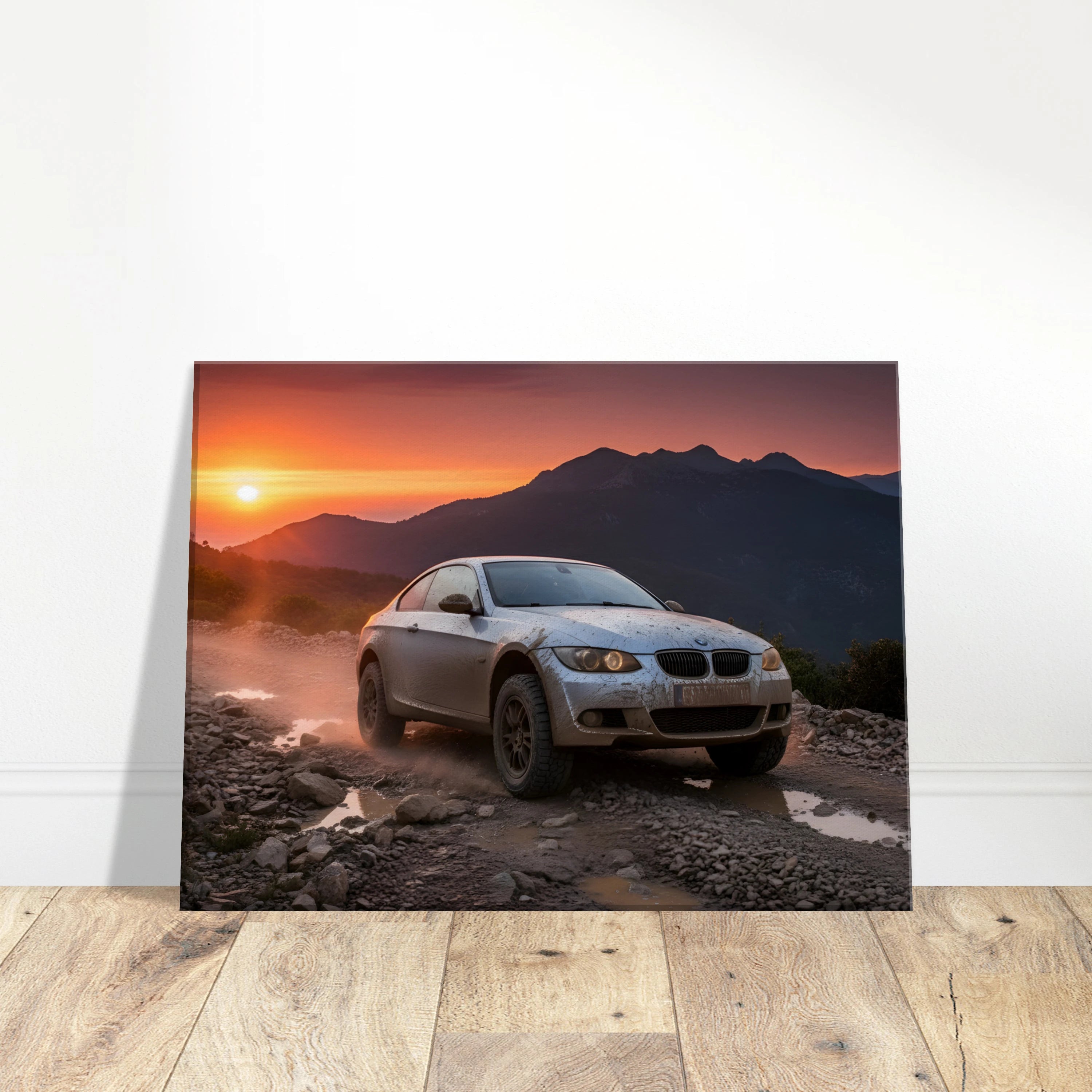 RevArt Canvas Print