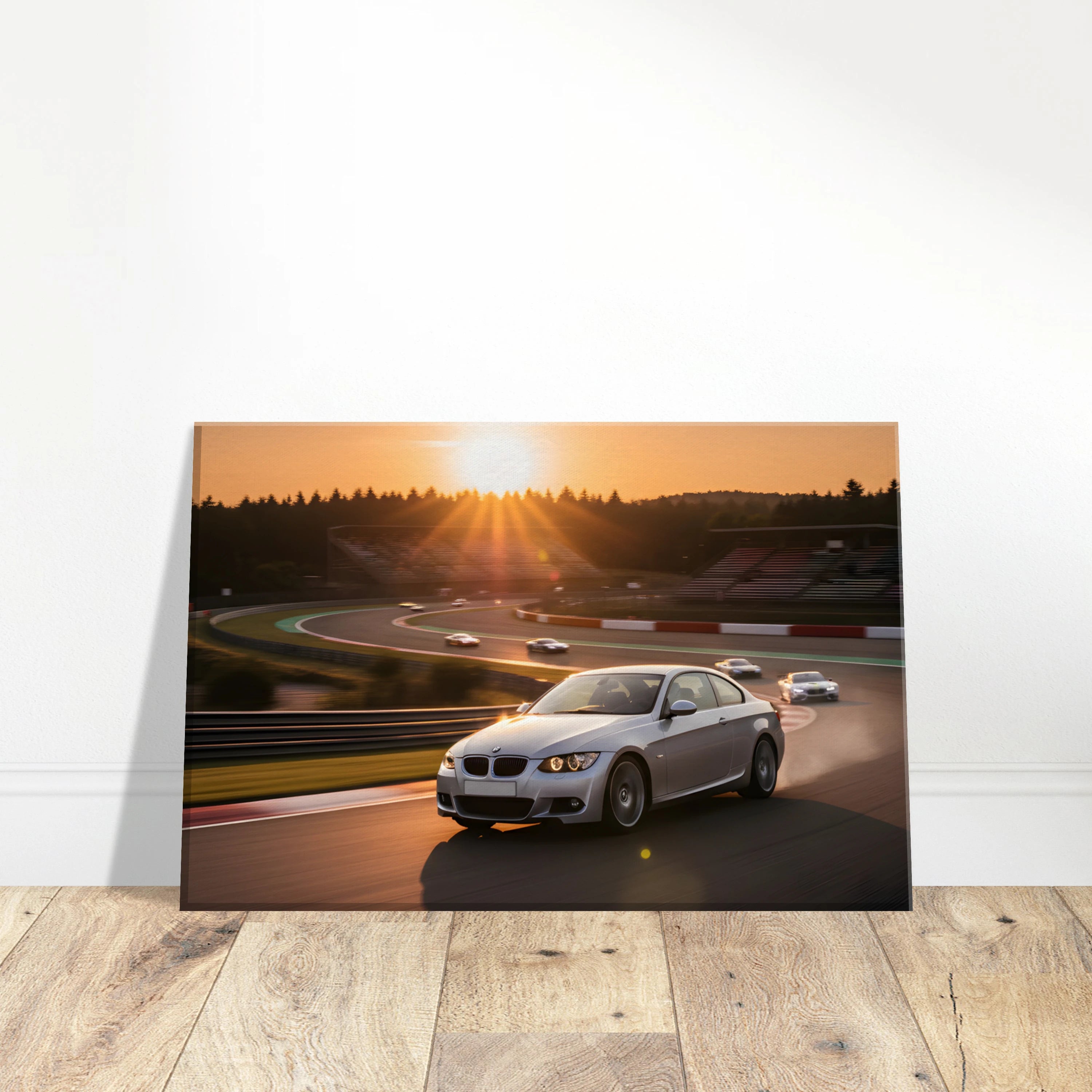 RevArt Canvas Print
