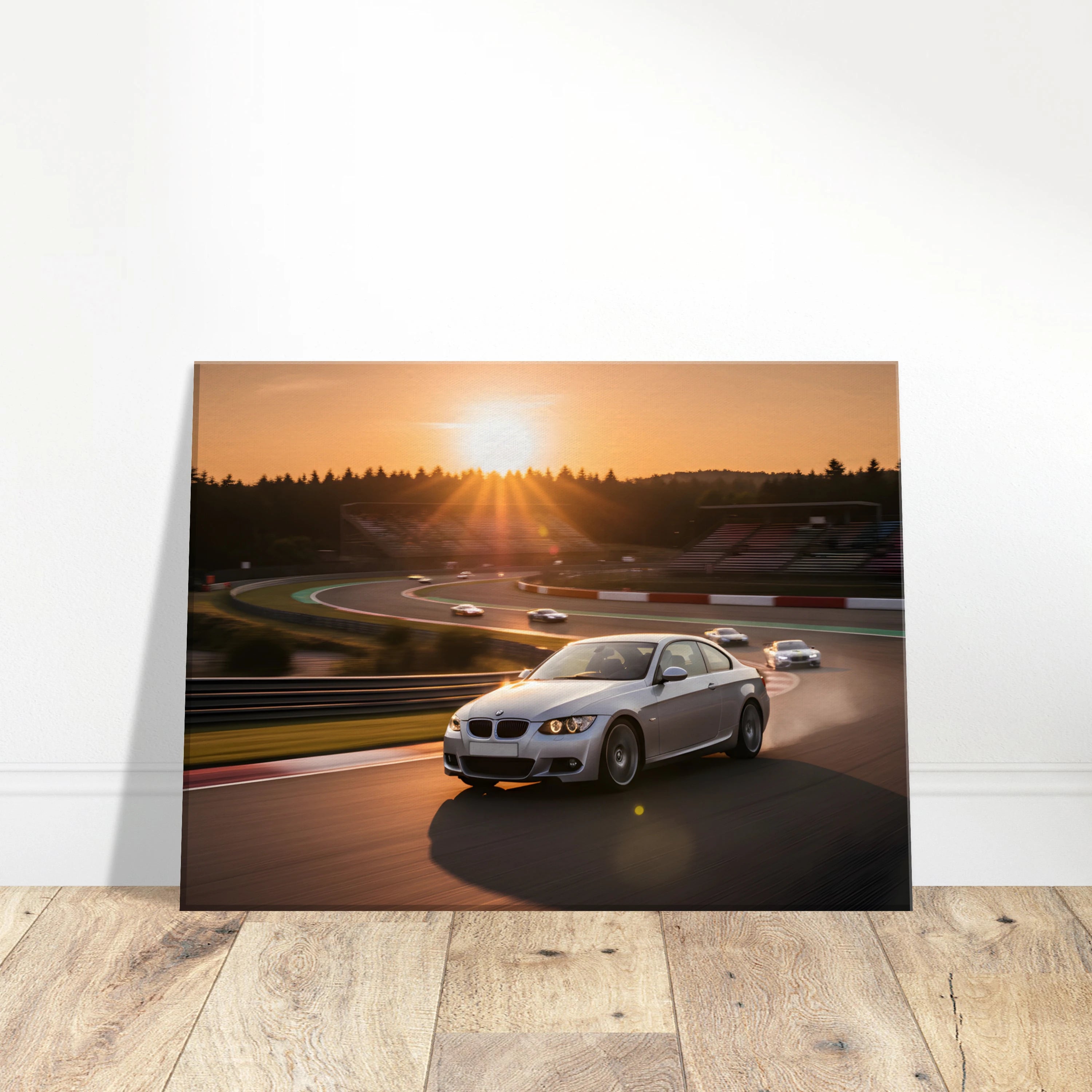 RevArt Canvas Print